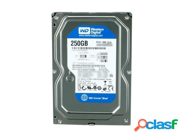 Disco Duro Interno Western Digital WD Caviar Blue 3.5'',