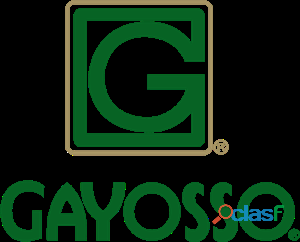 Ejecutivo de ventas Jr. GAYOSSO