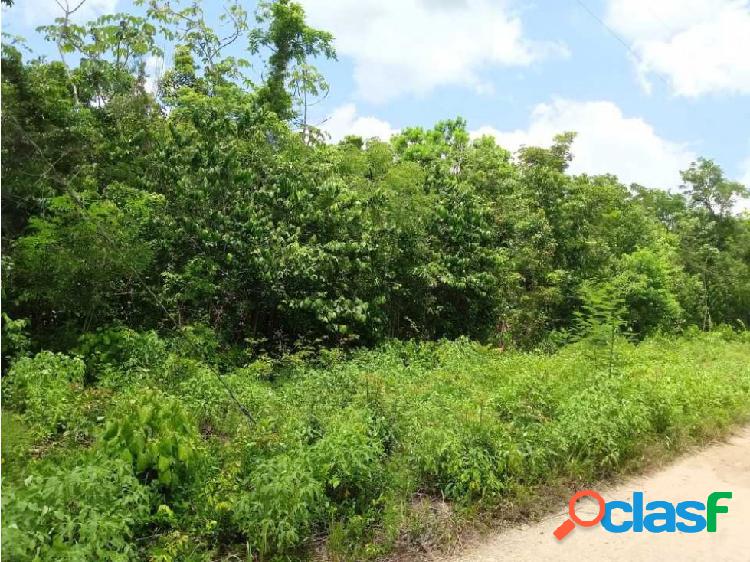 Terreno en venta en la ruta de los cenotes Cancún