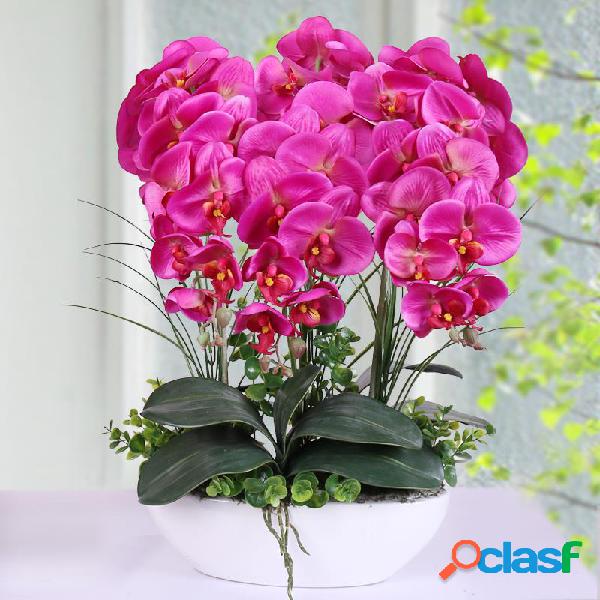 100Pcs Phalaenopsis Semillas Sala de estar Decoración