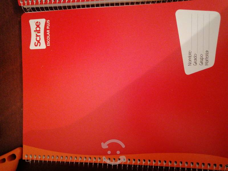 cuaderno profesional