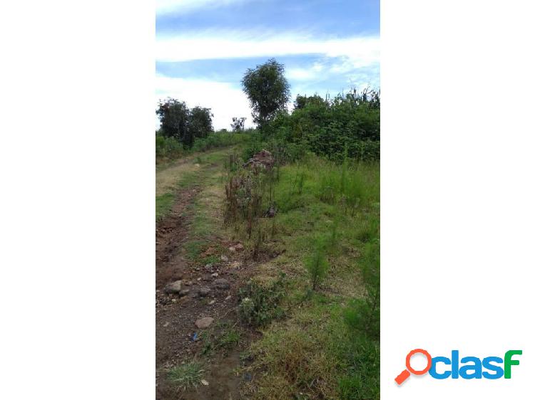 TERRENO EN VENTA LA AURORA TEPEYANCO TLAX
