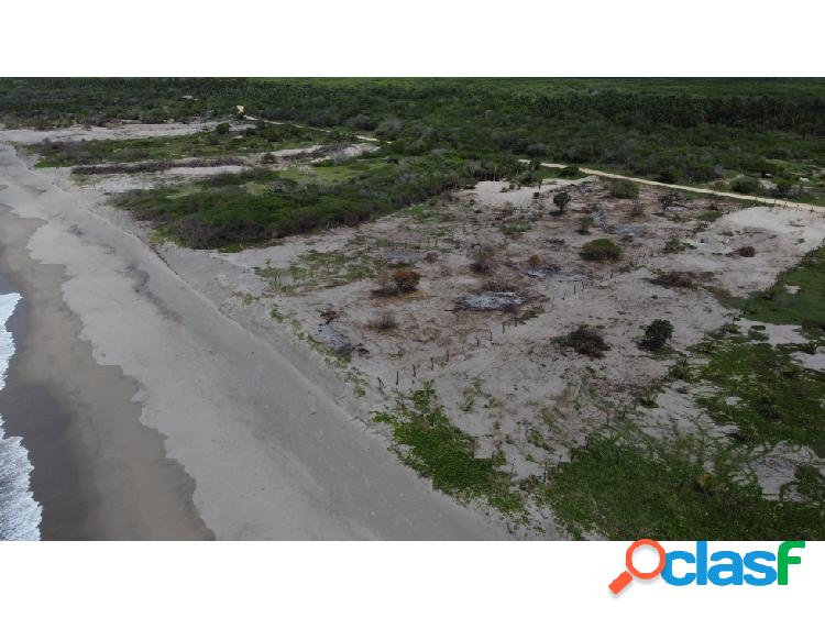 Chacahua / 2 lotes - 7200 m2 y 3850 m2 / con frente de playa