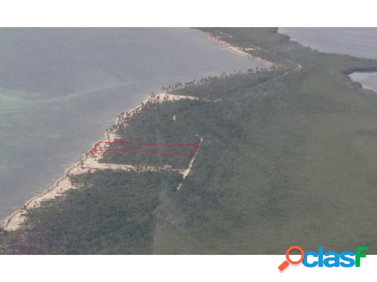 Terreno en Uvero Majahual Quintana Roo
