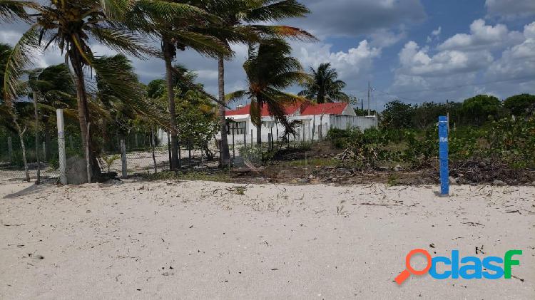 Terreno en venta a la orilla de playa en Celestún Yucatán