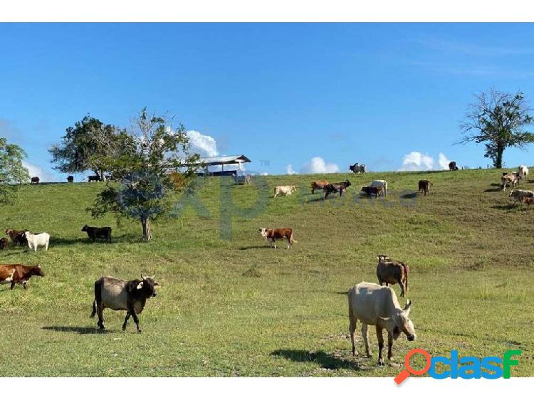 Hermoso rancho con infraestructura para ganado y óptimo