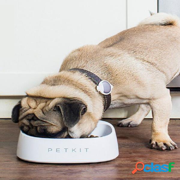 PETKIT Pet Smart Weighing Gato Bol Perro Bol Desde