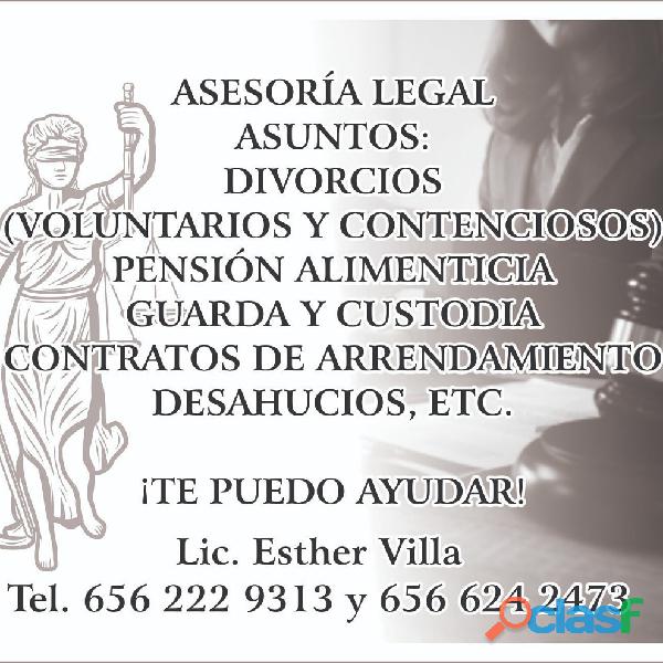 Asesoria Legal Profesional