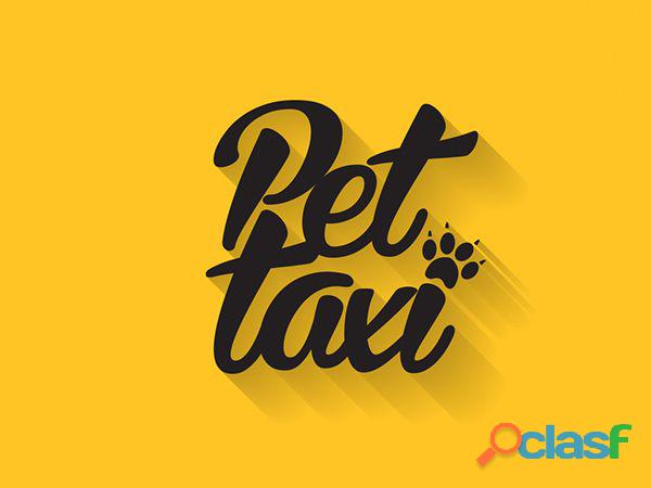 Pet Taxi! Transportate con tu mascota