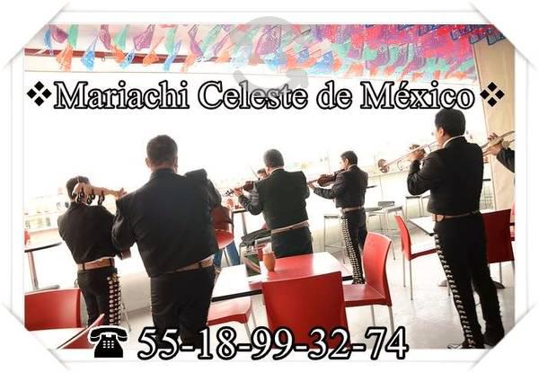 mariachi a domicilio texcoco-5518993274-urgentes