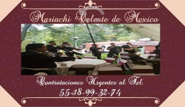 mariachi a domicilio tultepec-5518993274-urgentes