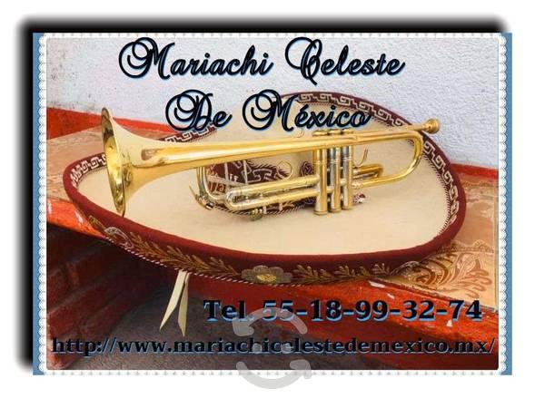 mariachis zona tultitlan-5518993274-urgentes bodas