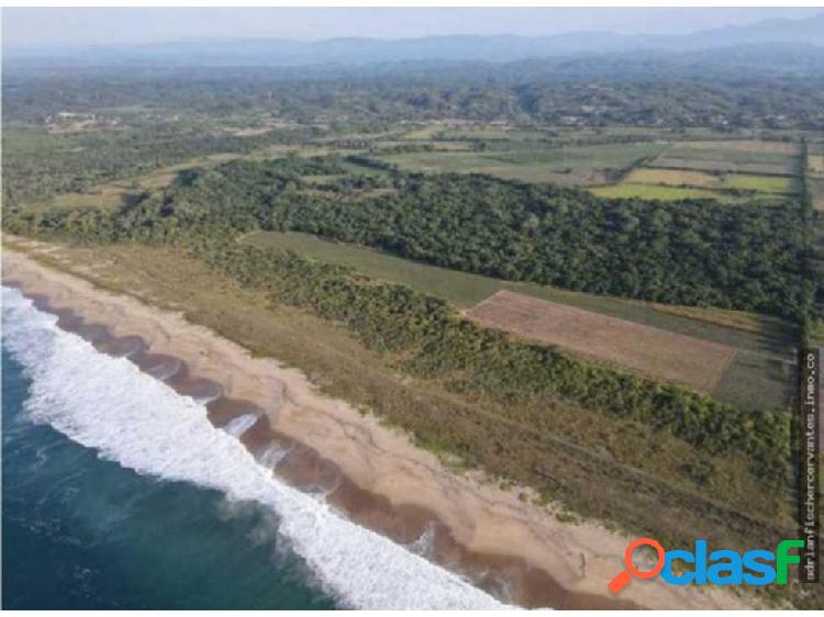 Macahuite Tonameca/50 hectáreas con frente de playa