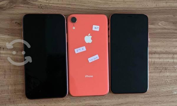 IPhone XR color coral