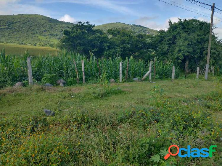 Terreno en venta 12 hectáreas en Cuautla
