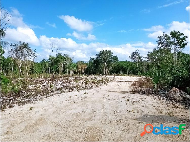 Remate 40 hectáreas en zona agrícola Leona Vicario