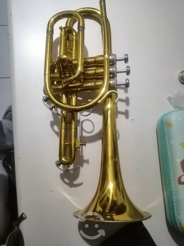 trompeta king