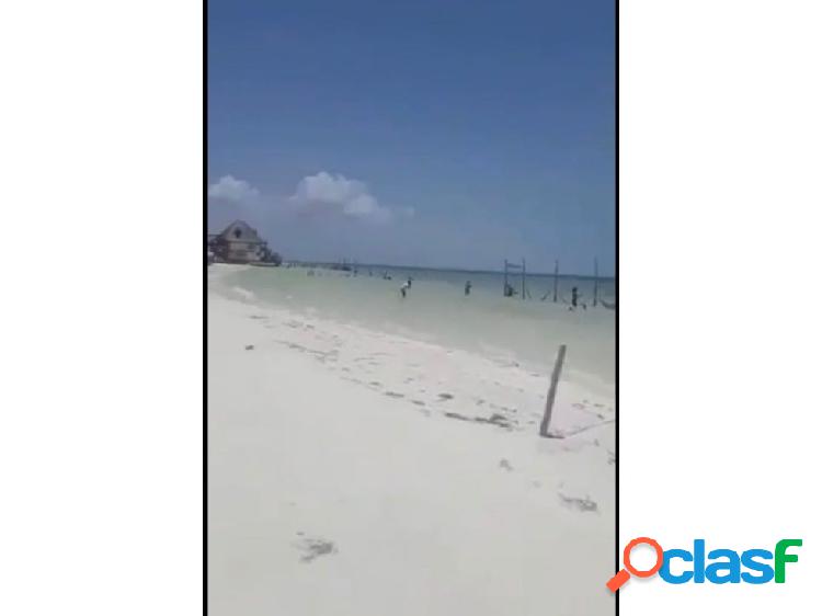 Terreno Holbox 2508 m2.(38 ml x88) orilla de playa