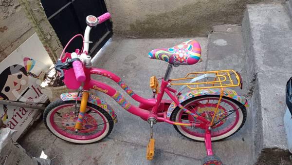 Bicicleta infantil distroller chamoy R16