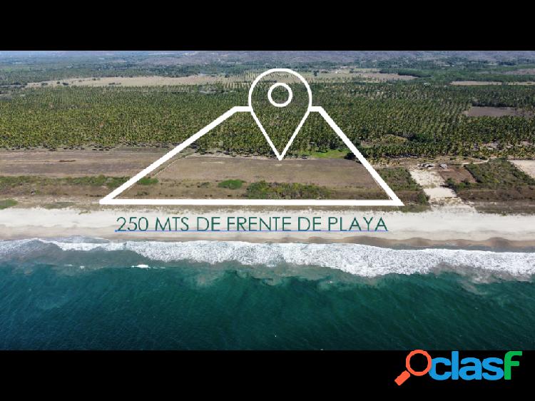 Playa El Venado / 7 hectáreas / Frente de playa