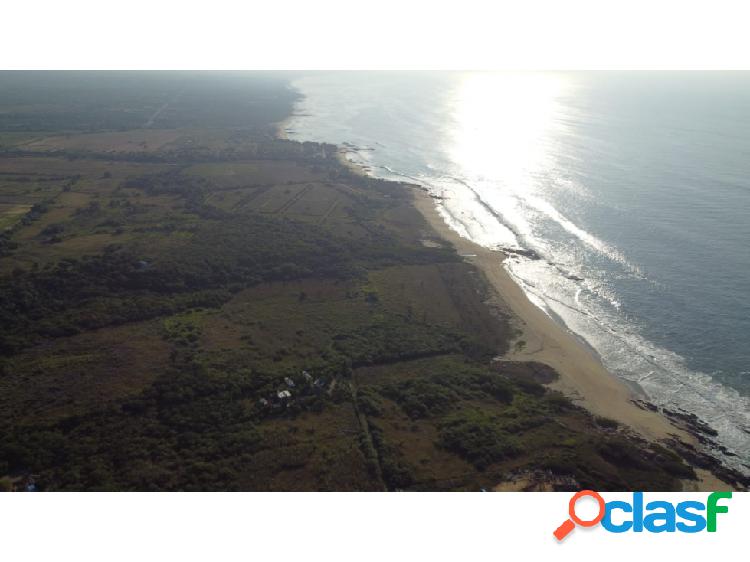 Playa Santa Elena/11 hectáreas frente al mar/zona de alta