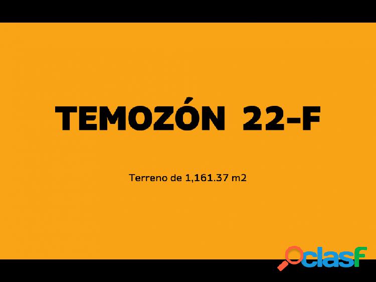 TEMOZÓN 22-F
