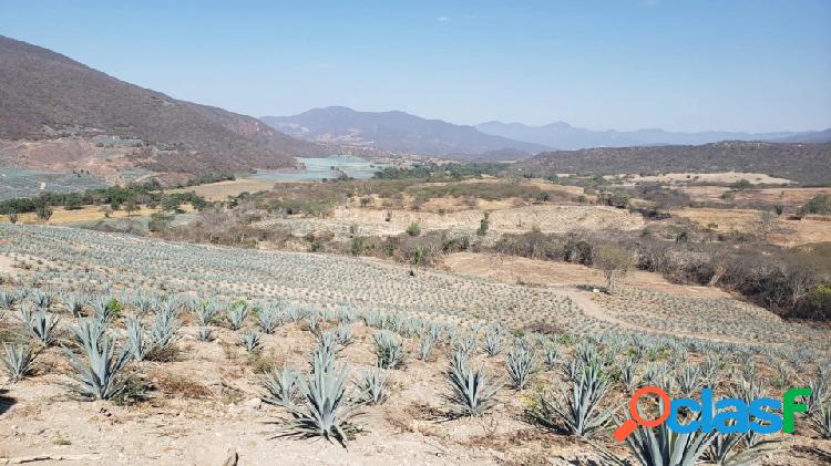 Rancho agavero de 50 hectáreas cerca de Tonaya, Jalisco