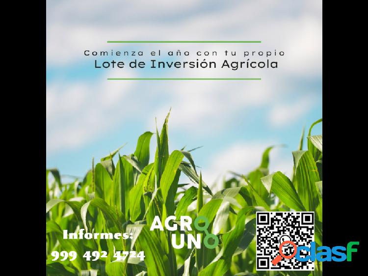 Invierte en Lotes Agrícolas