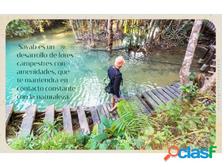 QH5 Terreno en Fracc. con Cenote de 10,000m2 Yucatán