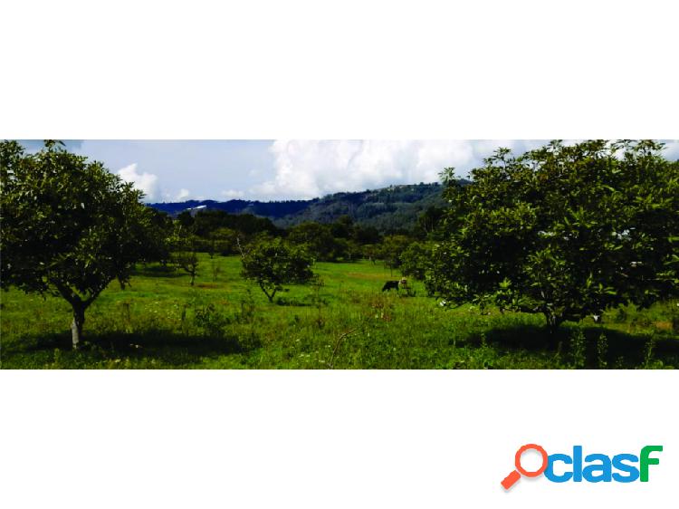 Rancho, terreno agricola en Ixtlahuaca de Villada Coatepec