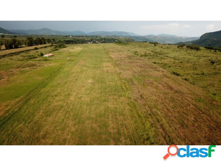 Terreno agrícola / Rancho 15 hectáreas, Pilcaya, Guerrero