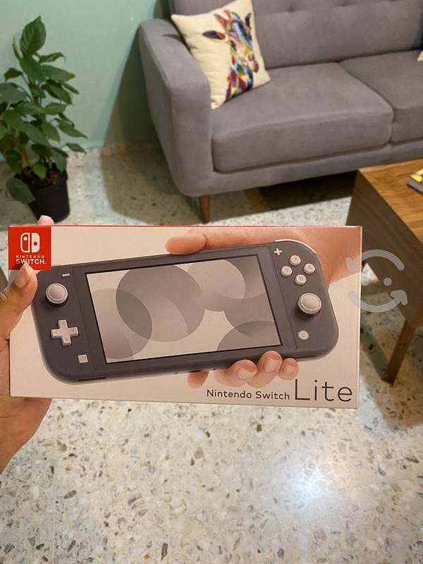 Nintendo switch lite