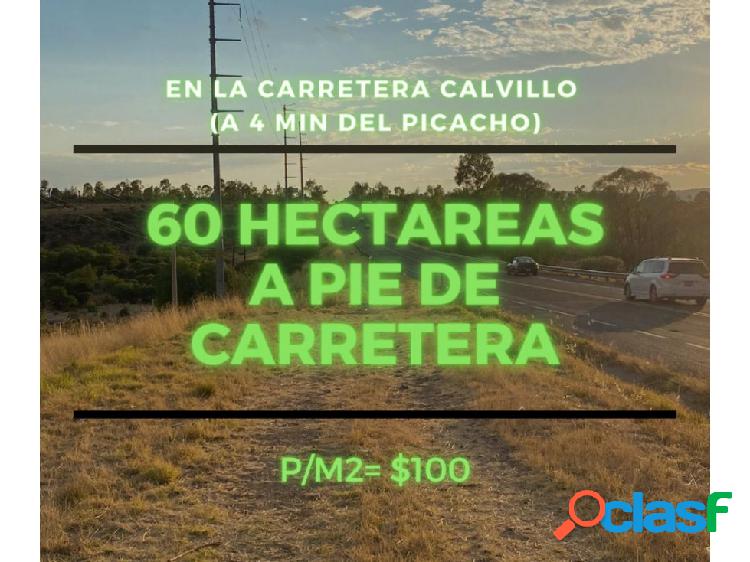60 Hectáreas a Pie De Carretera Cerca Del Picacho