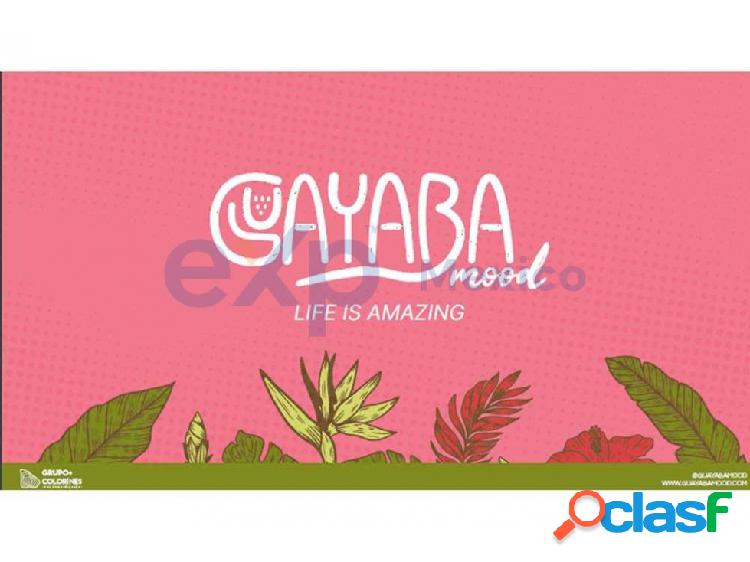 Guayaba Mod