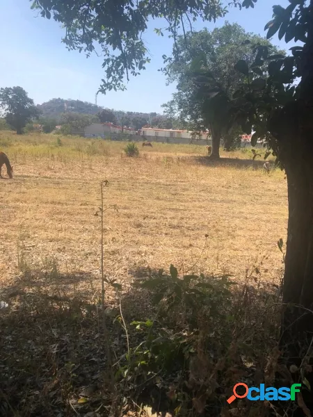 TERRENO VENTA REMOLINO YAUTEPEC MORELOS