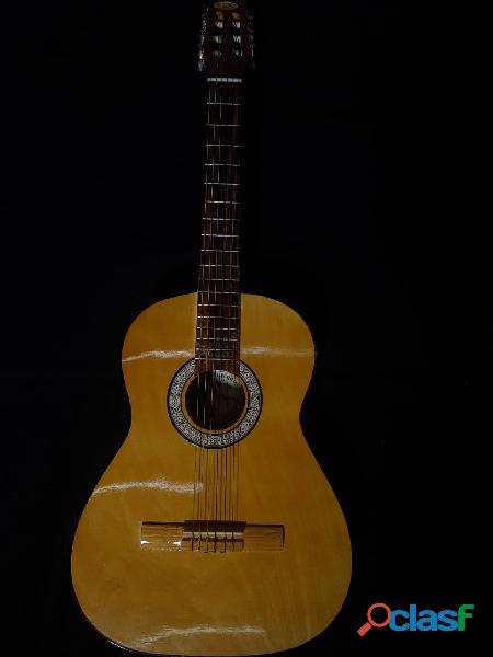 AF1012 Guitarra, Sencilla, Eslcolar o Principiante con Funda