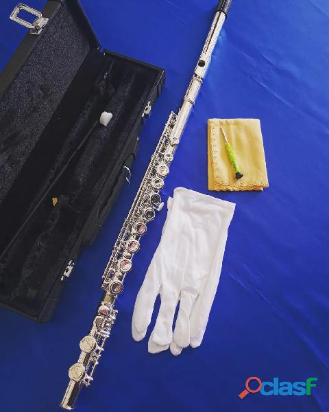 DO1598 ALDE FLSILVER Flauta Transversal de 16 Hoyos En Do