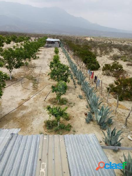 Terreno en venta, El Milagro García Nuevo León, terreno