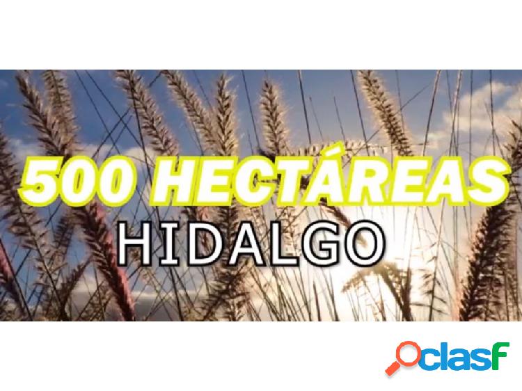 500 HECTAREAS EN HIDALGO PACHUCA DE SOTO