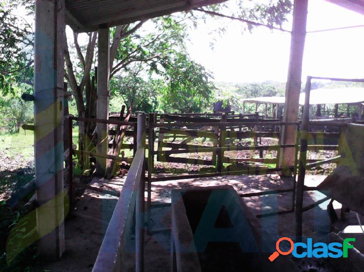 Venta de Rancho o Finca Ganadera en Tuxpan Veracruz, Frente