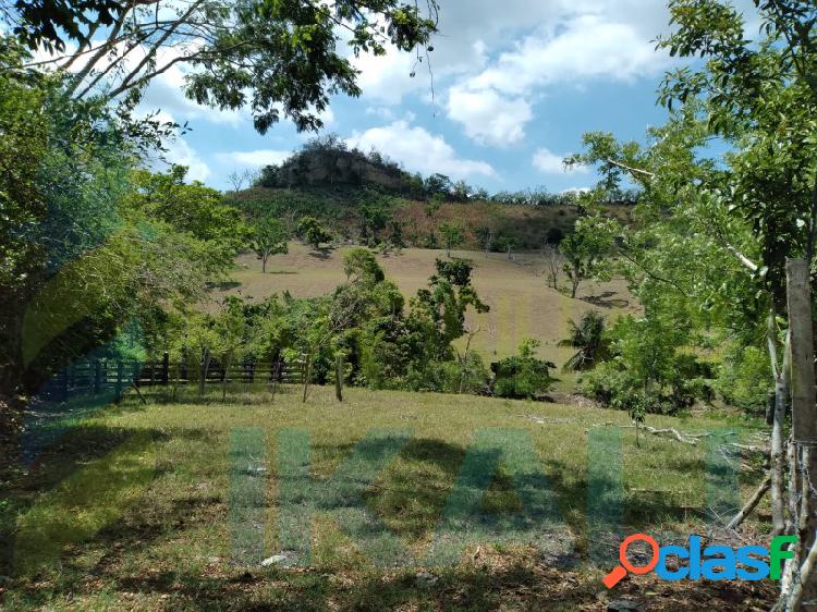Venta terreno 8.3 hectáreas Col. Carrizal Papantla