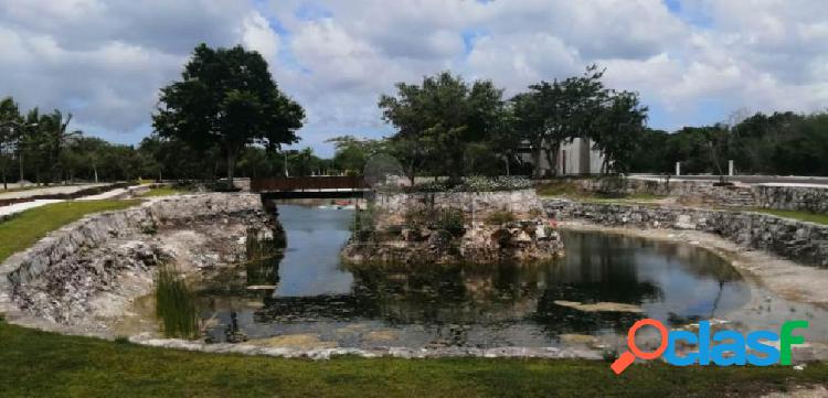 Terreno venta en Puerta de Agua, Progreso, Yucatán.