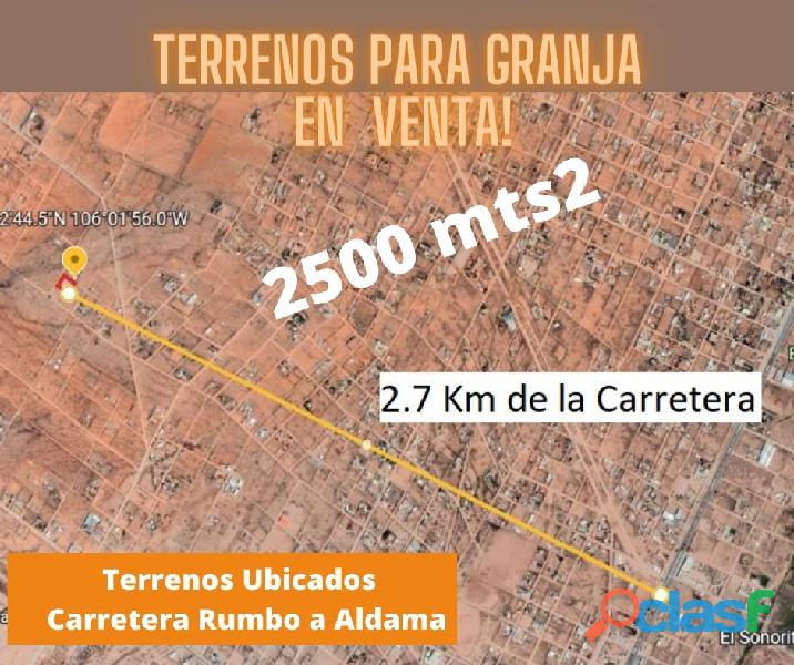 Terrenos en Venta Carretera Aldama Chihuahua Ejido Tabalaopa