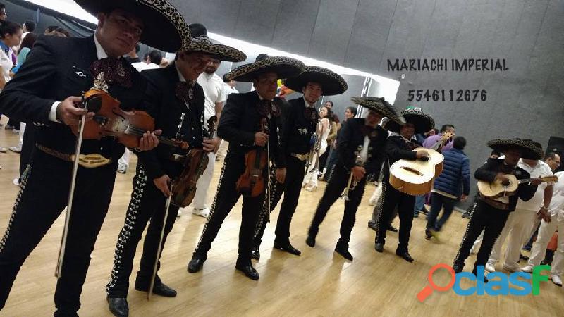 serenata con mariachi en CHURUBUSCO 5546112676 telefono