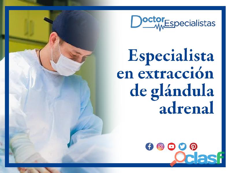Cirujanos generales para extracción de glándula adrenal