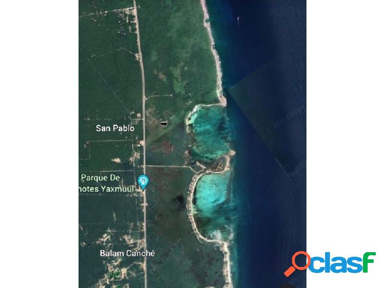 13.5 hectareas rivera maya (1980 metros líneales playa)