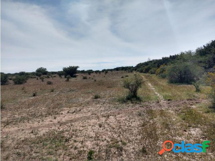 14 hectáreas disponibles ubicadas en Dolores Hidalgo