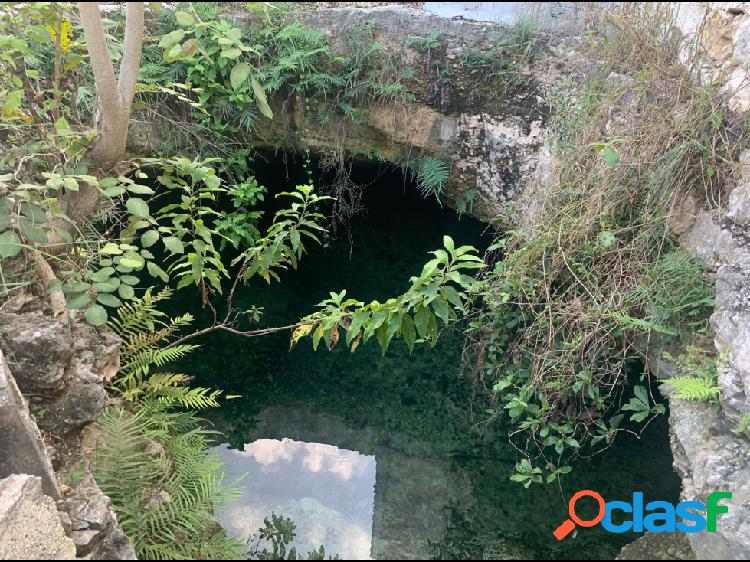 Cenote en Hunucmá