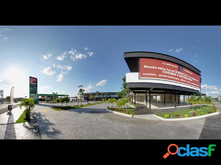 LOCALES COMERCIALES VECTOR
