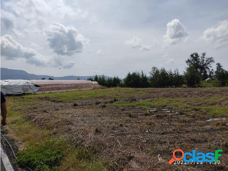Lotes de 1000 metros cuadrados, Llano de la Unión, Ixtapan